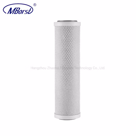 OEM/ODM Manufacturer Hot Sale Activated Carbon Block Filter Cartridge with Coconut Shell 10